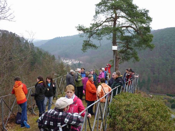 Rast auf einem Felsen, von dem die Wanderer die Burgen Erfenstein und Spangenberg sehen konnten.